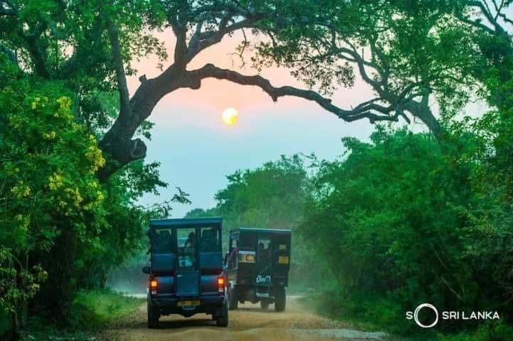 Kottamba Yala Stay & Safari Tissamaharama Buitenkant foto