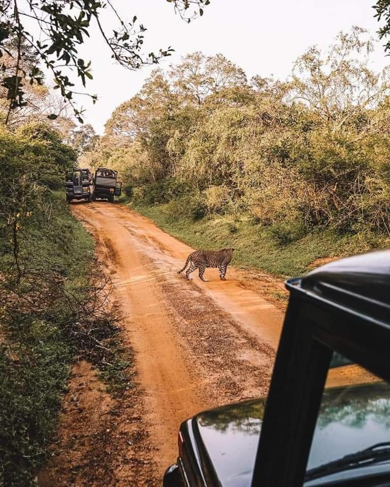 Kottamba Yala Stay & Safari Tissamaharama Buitenkant foto